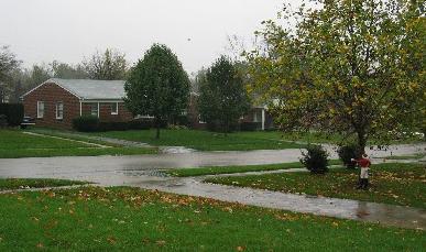 watching the rain from my front door