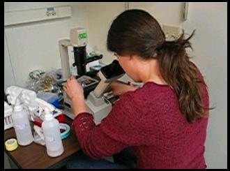 Ariana examining cells through a microscope