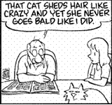~ cat sheds but does not go bald ~
